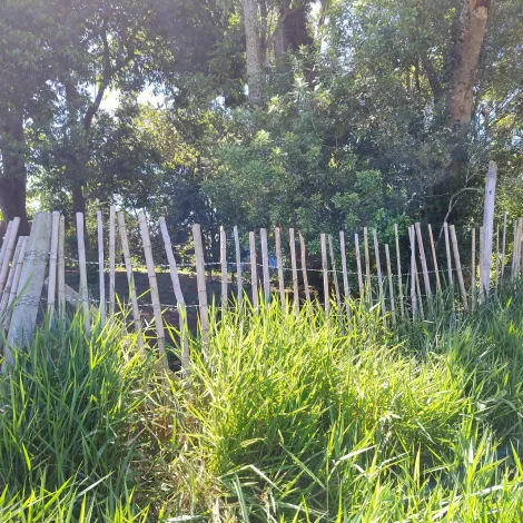 Comprar Rurais / S&iacute;tio em Suzano R$ 1.730.000,00 - Foto 7