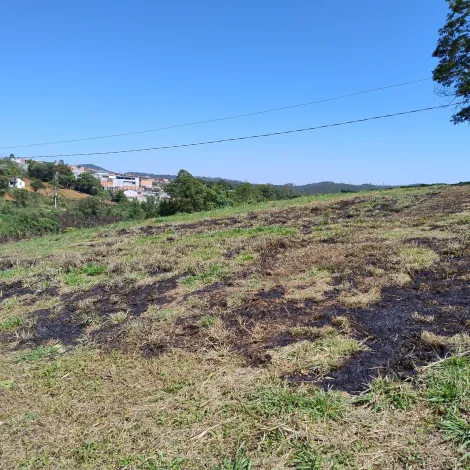 Comprar Rurais / S&iacute;tio em Suzano R$ 1.730.000,00 - Foto 10