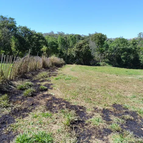 Comprar Rurais / S&iacute;tio em Suzano R$ 1.730.000,00 - Foto 13