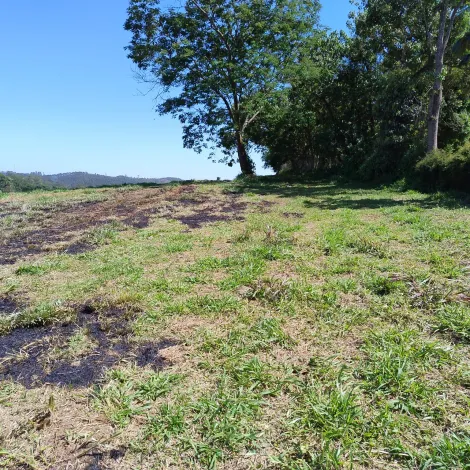 Comprar Rurais / S&iacute;tio em Suzano R$ 1.730.000,00 - Foto 14