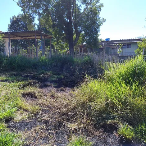 Comprar Rurais / S&iacute;tio em Suzano R$ 1.730.000,00 - Foto 17