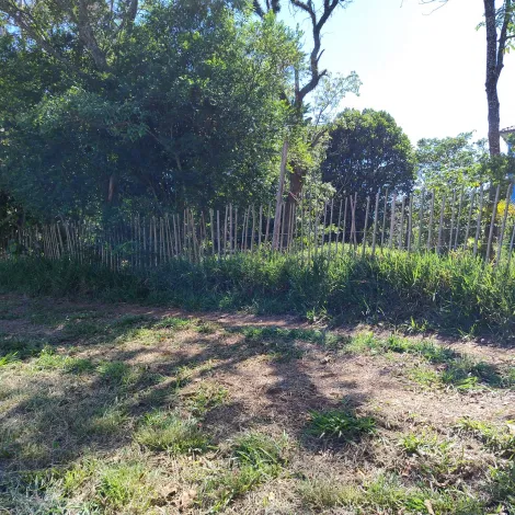 Comprar Rurais / S&iacute;tio em Suzano R$ 1.730.000,00 - Foto 21