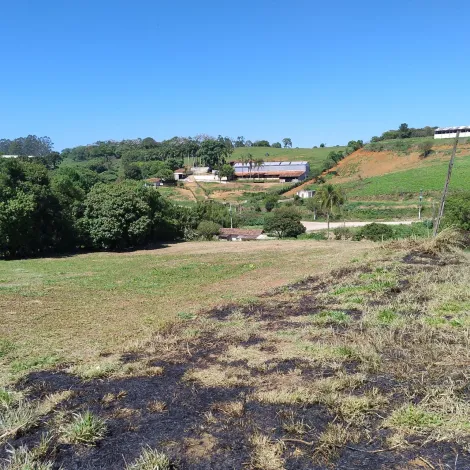 Comprar Rurais / S&iacute;tio em Suzano R$ 1.730.000,00 - Foto 22