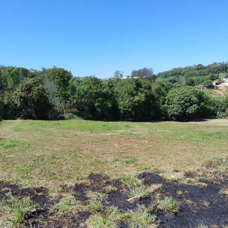 Comprar Rurais / S&iacute;tio em Suzano R$ 1.730.000,00 - Foto 23