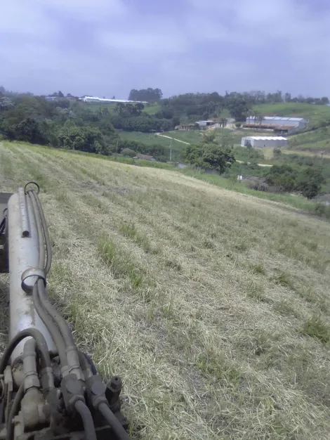 Comprar Rurais / S&iacute;tio em Suzano R$ 1.730.000,00 - Foto 3