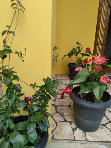 Comprar Casas / Sobrado em Po&aacute; R$ 1.400.000,00 - Foto 36