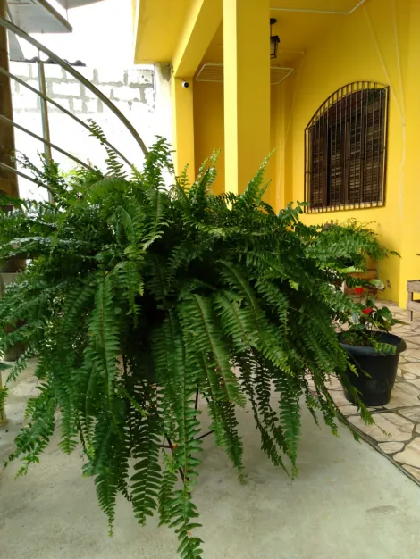 Comprar Casas / Sobrado em Po&aacute; R$ 1.400.000,00 - Foto 37