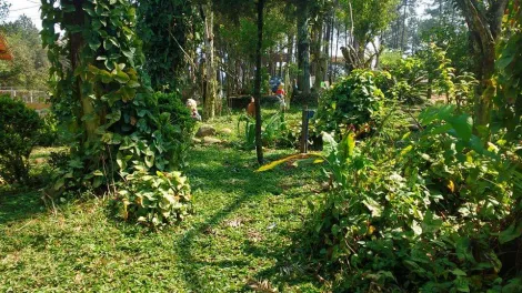 Alugar Rurais / S&iacute;tio em Suzano R$ 30.000,00 - Foto 29