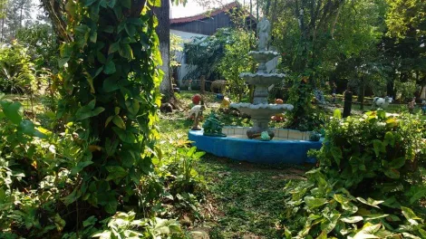 Alugar Rurais / S&iacute;tio em Suzano R$ 30.000,00 - Foto 21