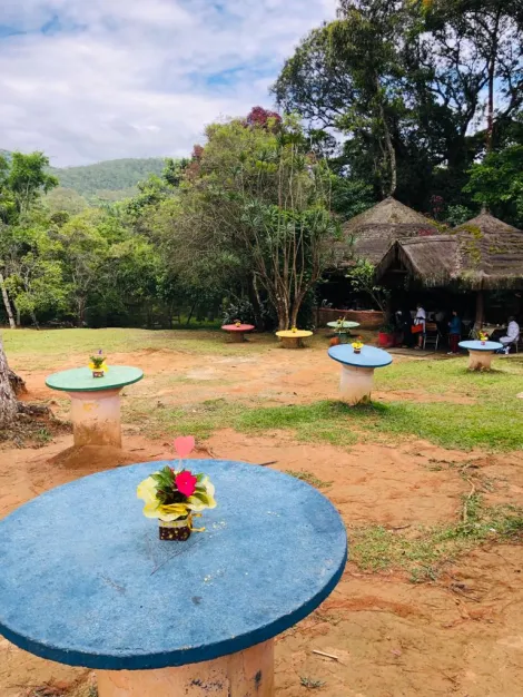 Alugar Rurais / S&iacute;tio em Suzano R$ 30.000,00 - Foto 15