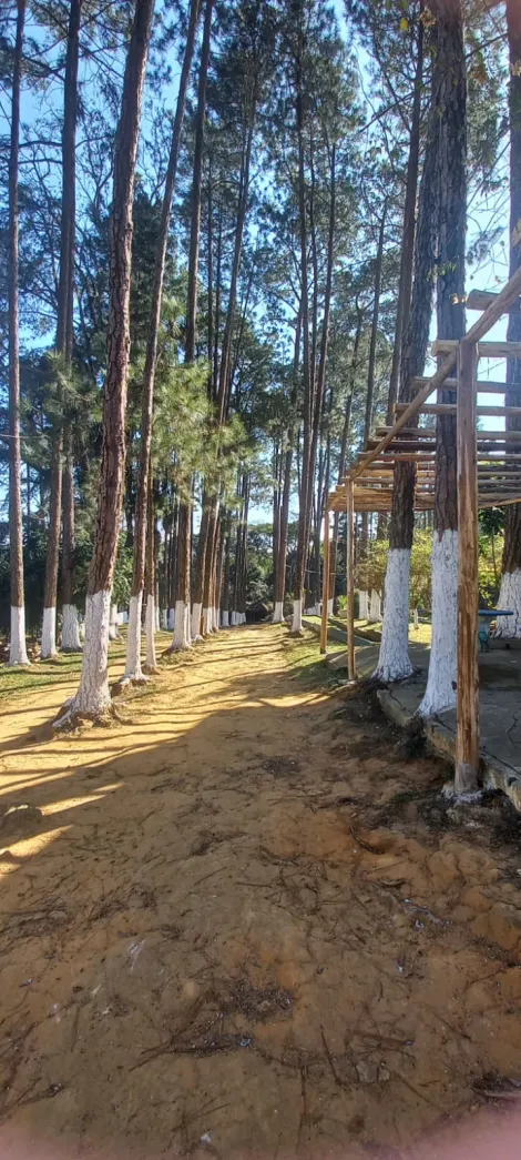 Alugar Rurais / S&iacute;tio em Suzano R$ 30.000,00 - Foto 14