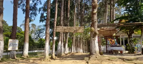 Alugar Rurais / S&iacute;tio em Suzano R$ 30.000,00 - Foto 9