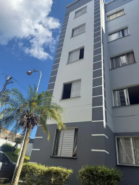 Alugar Apartamentos / Padrão em Suzano R$ 900,00 - Foto 1
