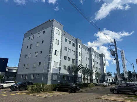 Alugar Apartamentos / Padrão em Suzano R$ 900,00 - Foto 2