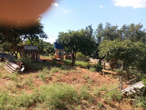 Comprar Rurais / Ch&aacute;cara em Suzano R$ 800.000,00 - Foto 11