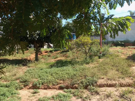 Comprar Rurais / Ch&aacute;cara em Suzano R$ 800.000,00 - Foto 13