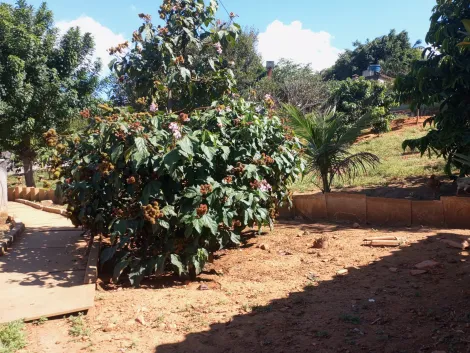 Comprar Rurais / Ch&aacute;cara em Suzano R$ 800.000,00 - Foto 16