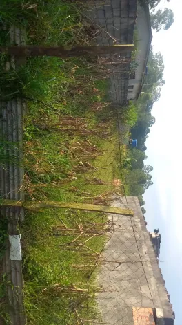 Comprar Terrenos / Terreno em Suzano R$ 135.000,00 - Foto 7