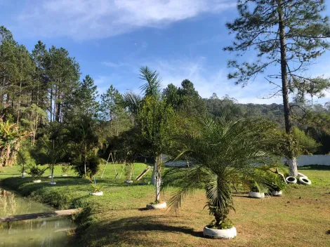 Alugar Rurais / Fazenda em Suzano R$ 4.000,00 - Foto 39