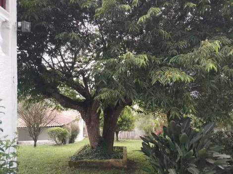 Alugar Rurais / Ch&aacute;cara em Suzano R$ 2.000,00 - Foto 3