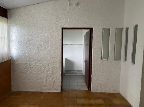 Alugar Rurais / Ch&aacute;cara em Suzano R$ 2.000,00 - Foto 12