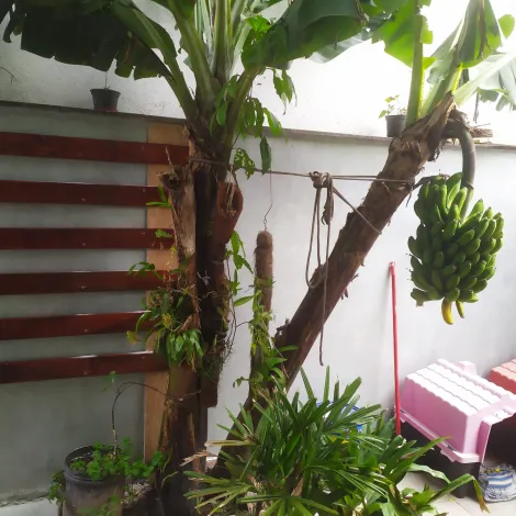 Comprar Casas / Condom&iacute;nio em Mogi das Cruzes R$ 1.007.000,00 - Foto 11