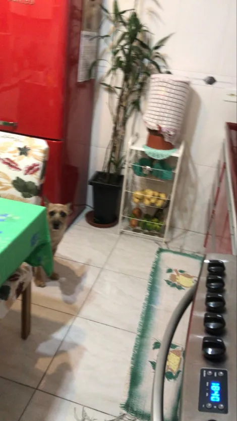 Comprar Casas / Sobrado em Suzano R$ 350.000,00 - Foto 7