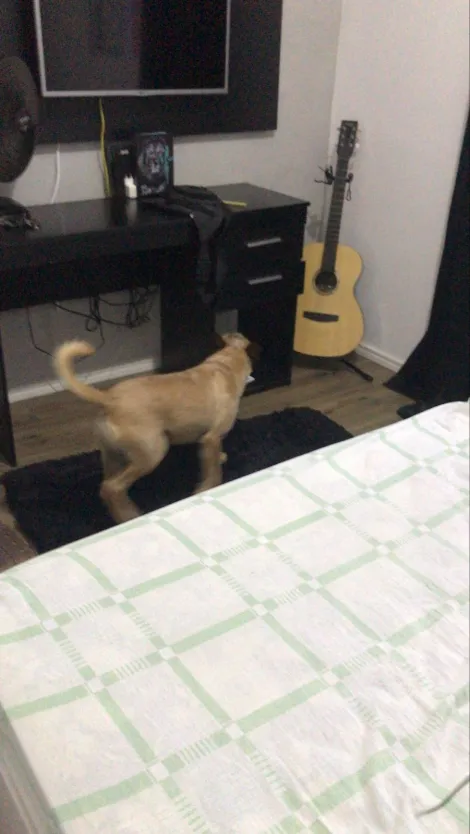 Comprar Casas / Sobrado em Suzano R$ 350.000,00 - Foto 6