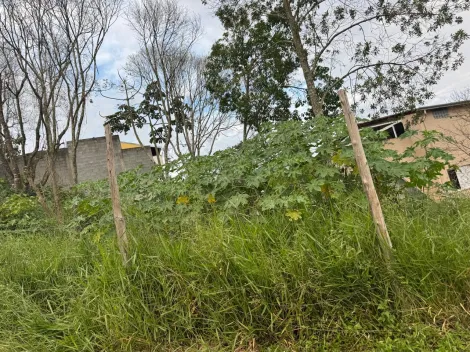 Comprar Terrenos / Terreno em Suzano R$ 213.000,00 - Foto 7