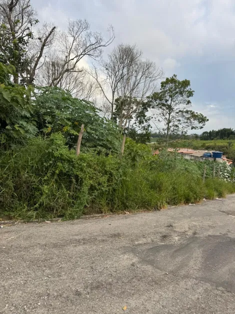 Comprar Terrenos / Terreno em Suzano R$ 213.000,00 - Foto 10