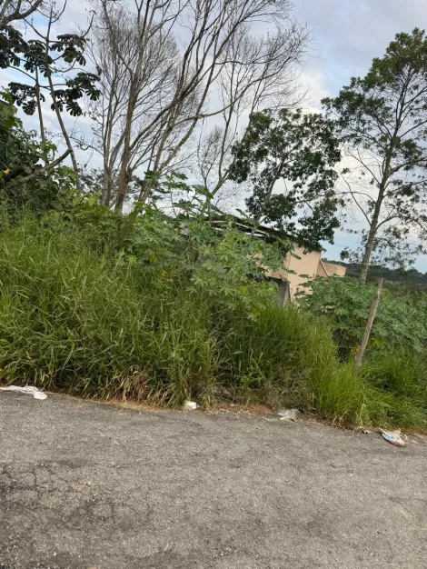 Comprar Terrenos / Terreno em Suzano R$ 160.000,00 - Foto 4