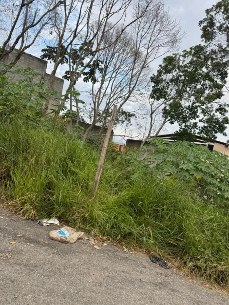 Comprar Terrenos / Terreno em Suzano R$ 160.000,00 - Foto 5