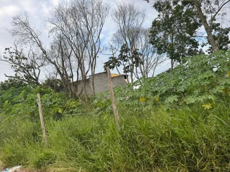 Comprar Terrenos / Terreno em Suzano R$ 160.000,00 - Foto 6
