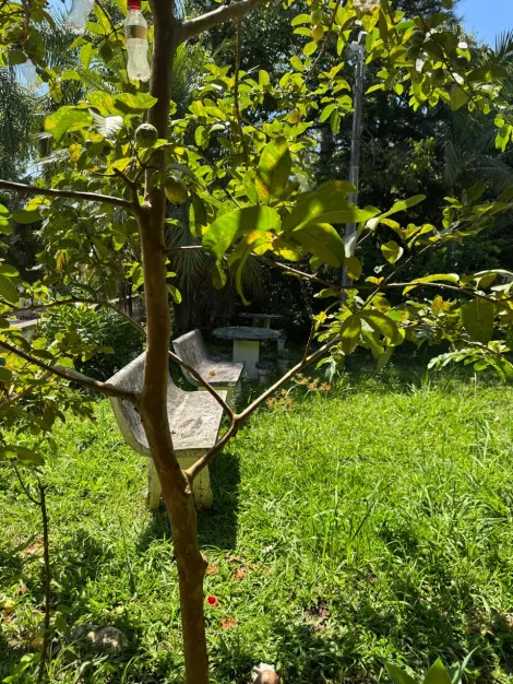 Comprar Rurais / Ch&aacute;cara em Suzano R$ 800.000,00 - Foto 15