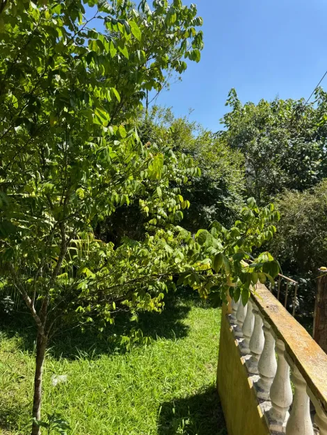 Comprar Rurais / Ch&aacute;cara em Suzano R$ 800.000,00 - Foto 16