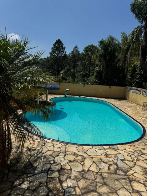 Comprar Rurais / Ch&aacute;cara em Suzano R$ 800.000,00 - Foto 17