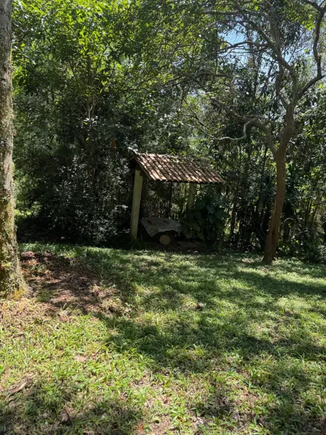 Comprar Rurais / Ch&aacute;cara em Suzano R$ 800.000,00 - Foto 27