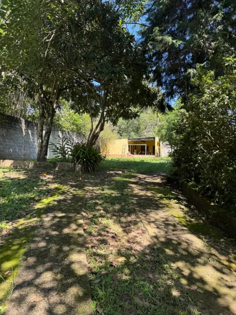 Comprar Rurais / Ch&aacute;cara em Suzano R$ 800.000,00 - Foto 28