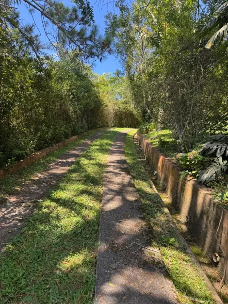 Comprar Rurais / Ch&aacute;cara em Suzano R$ 800.000,00 - Foto 30