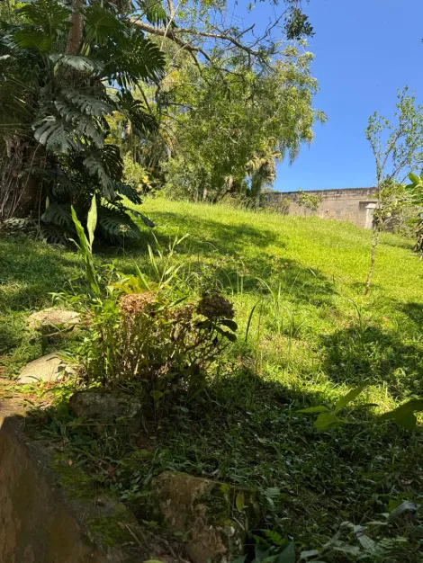 Comprar Rurais / Ch&aacute;cara em Suzano R$ 800.000,00 - Foto 31