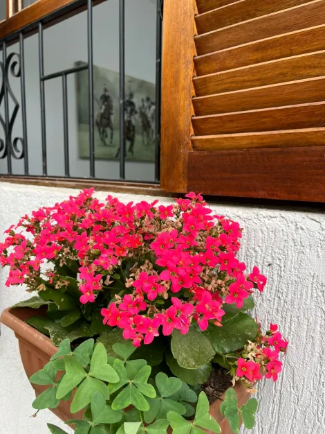 Comprar Rurais / Ch&aacute;cara em Suzano R$ 750.000,00 - Foto 3