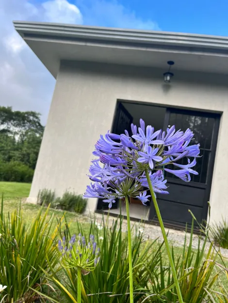 Comprar Rurais / Ch&aacute;cara em Suzano R$ 750.000,00 - Foto 13