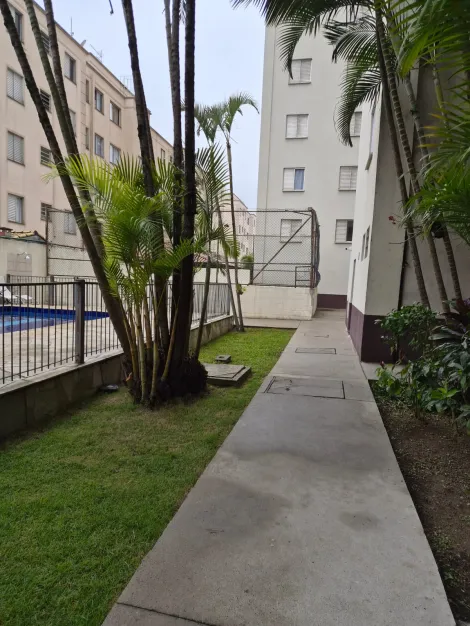 Alugar Apartamentos / Padr&atilde;o em Suzano R$ 1.681,00 - Foto 20
