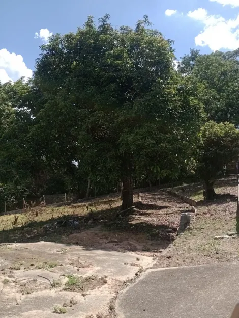 Comprar Terrenos / Terreno em Suzano R$ 380.000,00 - Foto 3