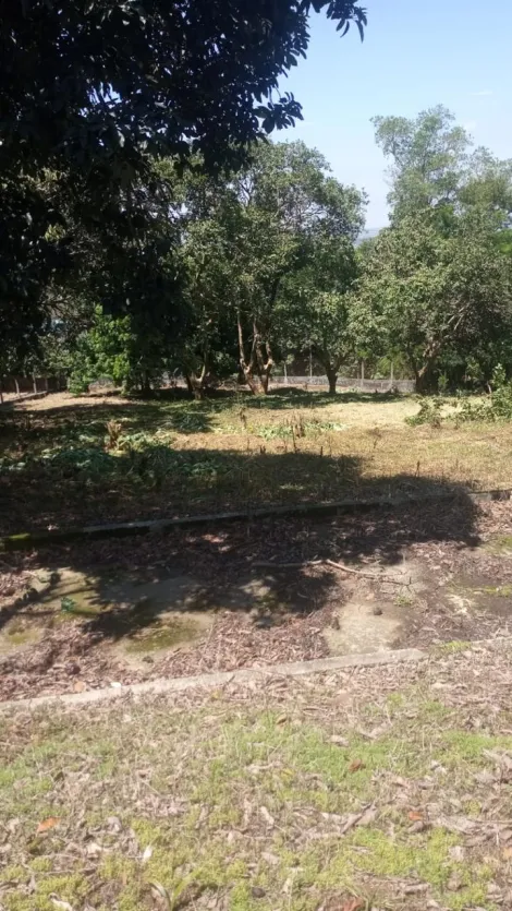 Comprar Terrenos / Terreno em Suzano R$ 380.000,00 - Foto 4