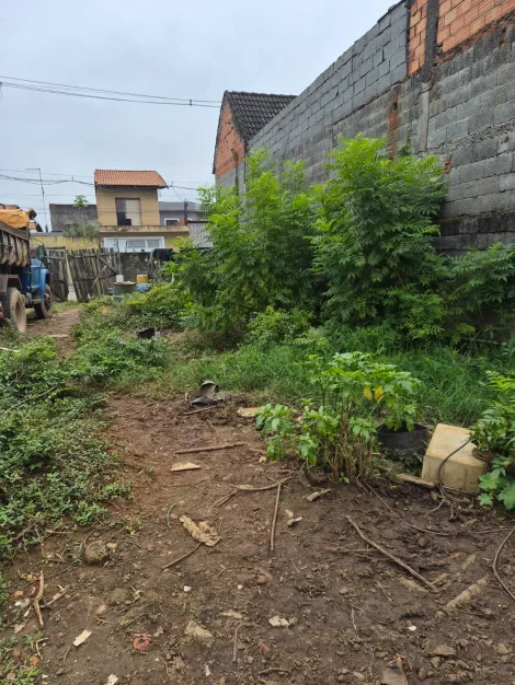 Comprar Terrenos / Terreno em Suzano R$ 300.000,00 - Foto 3