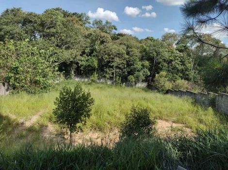 Comprar Rurais / Ch&aacute;cara em Suzano R$ 350.000,00 - Foto 6
