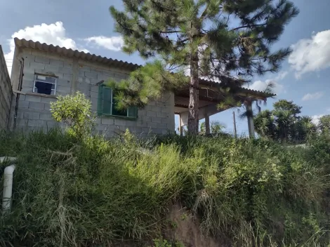Comprar Rurais / Ch&aacute;cara em Suzano R$ 350.000,00 - Foto 10
