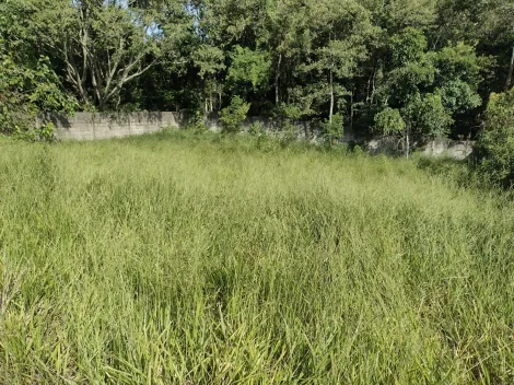 Comprar Rurais / Ch&aacute;cara em Suzano R$ 350.000,00 - Foto 12
