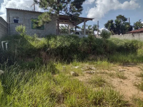 Comprar Rurais / Ch&aacute;cara em Suzano R$ 350.000,00 - Foto 17